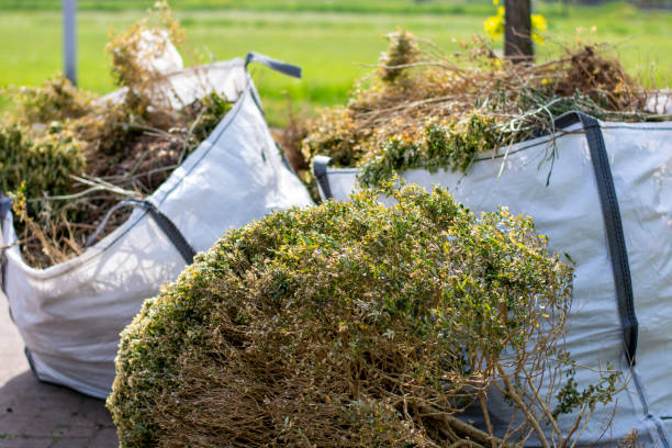 Demolition Debris Removal in Torrance, CA